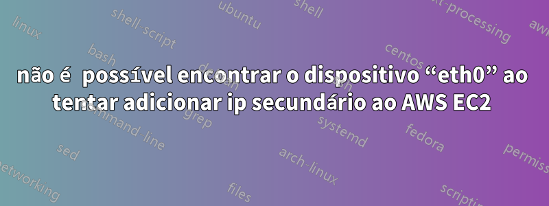 não é possível encontrar o dispositivo “eth0” ao tentar adicionar ip secundário ao AWS EC2