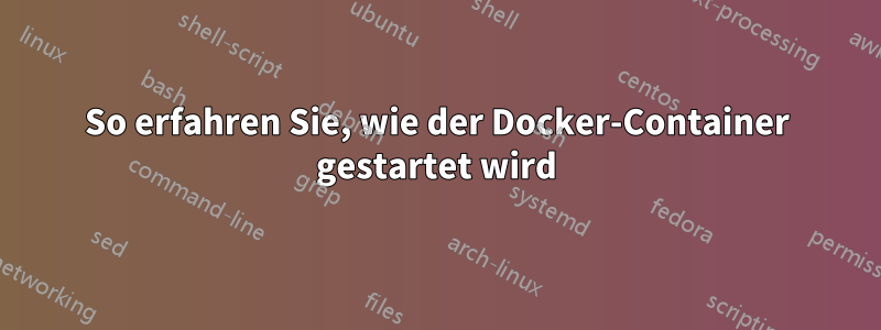 So erfahren Sie, wie der Docker-Container gestartet wird