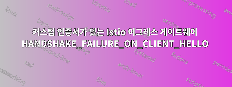 커스텀 인증서가 있는 Istio 이그레스 게이트웨이 HANDSHAKE_FAILURE_ON_CLIENT_HELLO