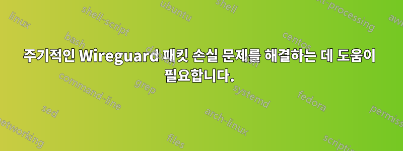 주기적인 Wireguard 패킷 손실 문제를 해결하는 데 도움이 필요합니다.