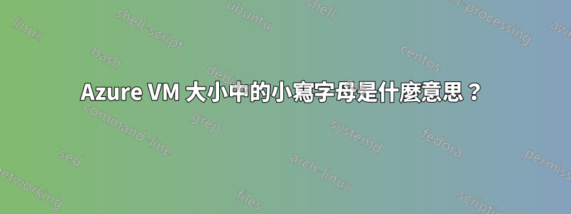 Azure VM 大小中的小寫字母是什麼意思？