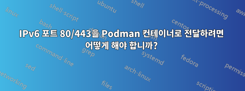 IPv6 포트 80/443을 Podman 컨테이너로 전달하려면 어떻게 해야 합니까?