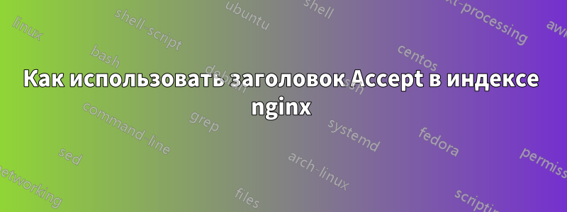 Как использовать заголовок Accept в индексе nginx