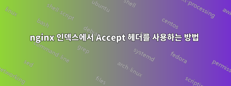 nginx 인덱스에서 Accept 헤더를 사용하는 방법