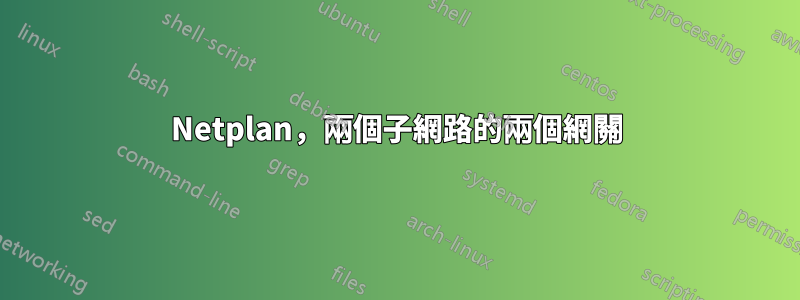 Netplan，兩個子網路的兩個網關