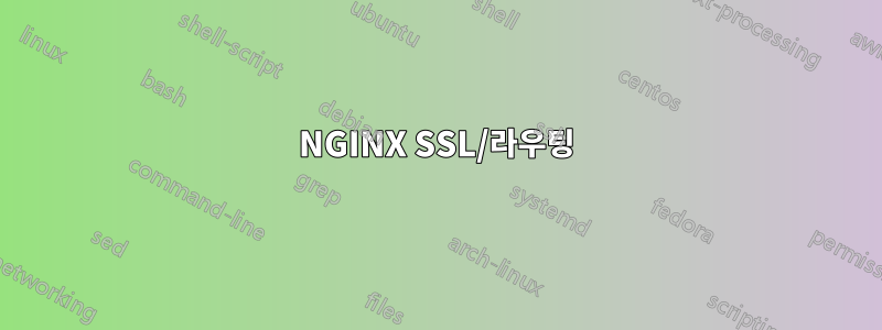 NGINX SSL/라우팅