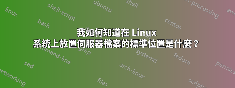 我如何知道在 Linux 系統上放置伺服器檔案的標準位置是什麼？