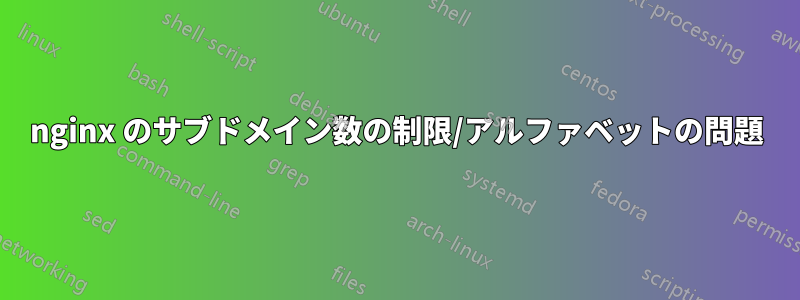 nginx のサブドメイン数の制限/アルファベットの問題