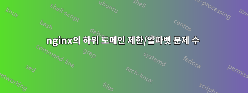 nginx의 하위 도메인 제한/알파벳 문제 수