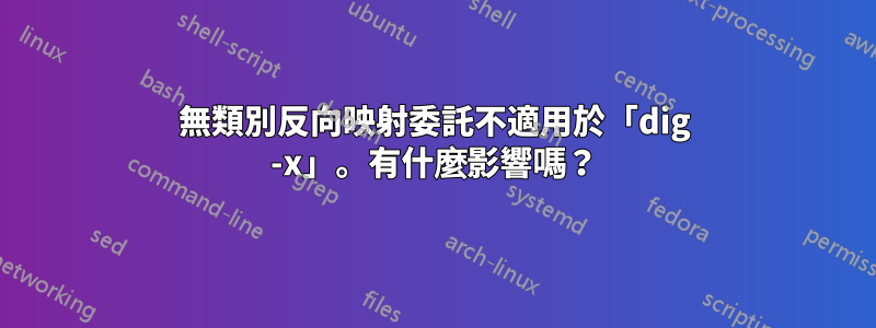 無類別反向映射委託不適用於「dig -x」。有什麼影響嗎？