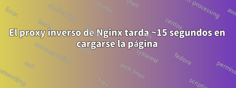 El proxy inverso de Nginx tarda ~15 segundos en cargarse la página