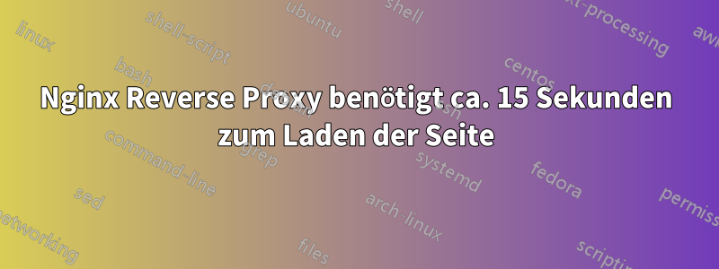 Nginx Reverse Proxy benötigt ca. 15 Sekunden zum Laden der Seite