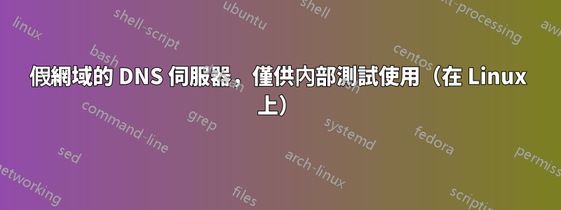 假網域的 DNS 伺服器，僅供內部測試使用（在 Linux 上）