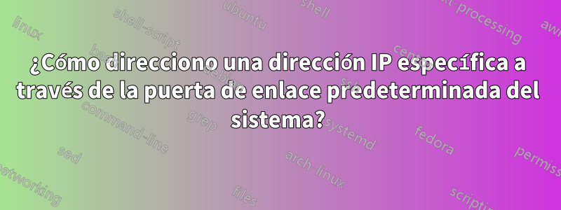 ¿Cómo direcciono una dirección IP específica a través de la puerta de enlace predeterminada del sistema?