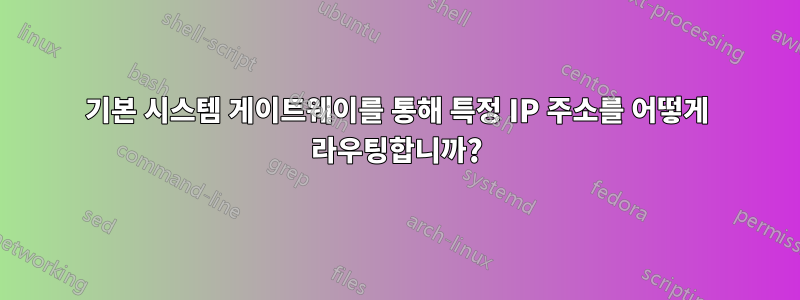 기본 시스템 게이트웨이를 통해 특정 IP 주소를 어떻게 라우팅합니까?