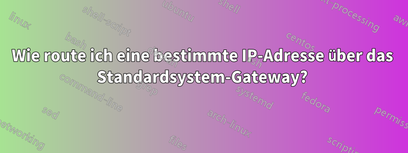 Wie route ich eine bestimmte IP-Adresse über das Standardsystem-Gateway?