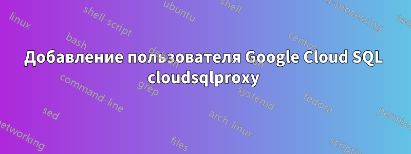 Добавление пользователя Google Cloud SQL cloudsqlproxy