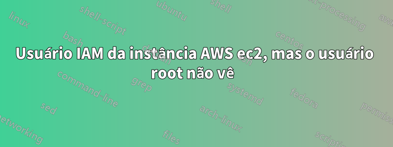 Usuário IAM da instância AWS ec2, mas o usuário root não vê