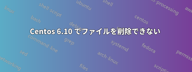 Centos 6.10 でファイルを削除できない