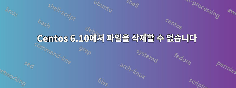 Centos 6.10에서 파일을 삭제할 수 없습니다