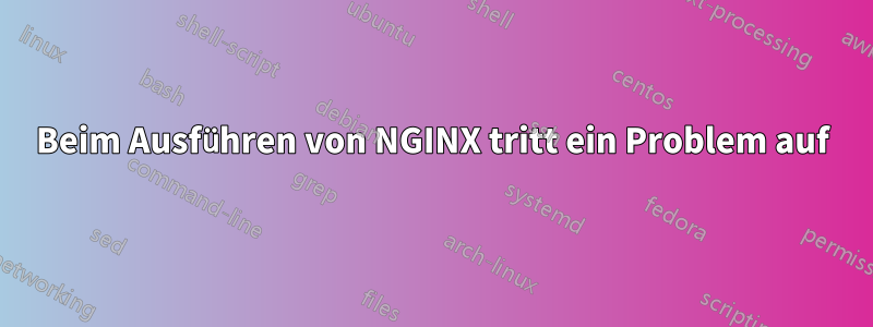 Beim Ausführen von NGINX tritt ein Problem auf