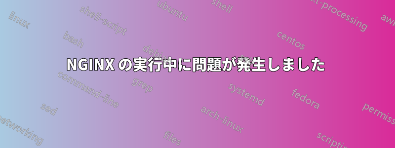 NGINX の実行中に問題が発生しました