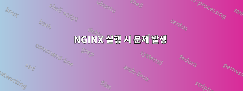 NGINX 실행 시 문제 발생