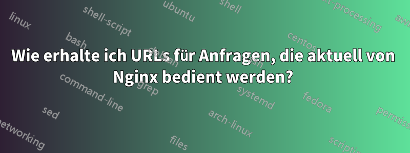 Wie erhalte ich URLs für Anfragen, die aktuell von Nginx bedient werden?