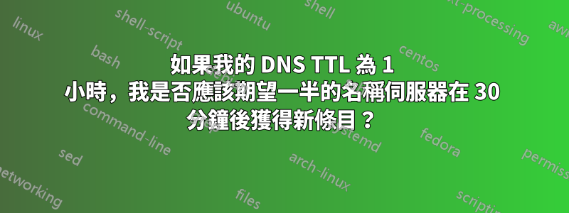 如果我的 DNS TTL 為 1 小時，我是否應該期望一半的名稱伺服器在 30 分鐘後獲得新條目？