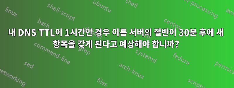 내 DNS TTL이 1시간인 경우 이름 서버의 절반이 30분 후에 새 항목을 갖게 된다고 예상해야 합니까?