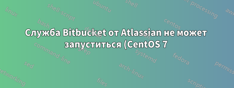 Служба Bitbucket от Atlassian не может запуститься (CentOS 7)