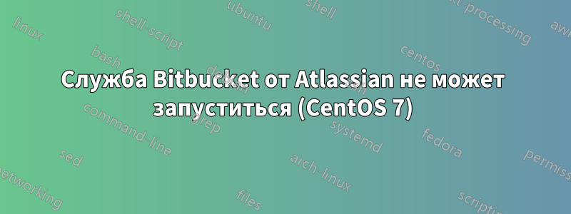 Служба Bitbucket от Atlassian не может запуститься (CentOS 7)