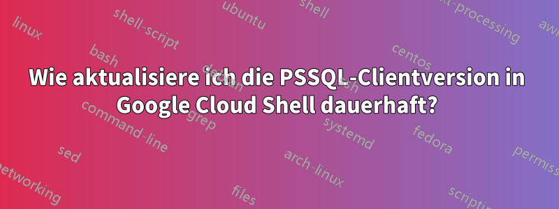 Wie aktualisiere ich die PSSQL-Clientversion in Google Cloud Shell dauerhaft?