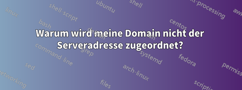 Warum wird meine Domain nicht der Serveradresse zugeordnet?