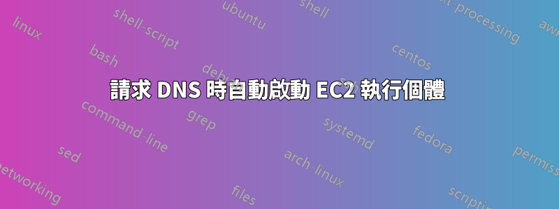 請求 DNS 時自動啟動 EC2 執行個體