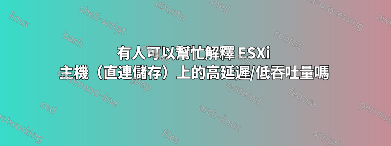 有人可以幫忙解釋 ESXi 主機（直連儲存）上的高延遲/低吞吐量嗎