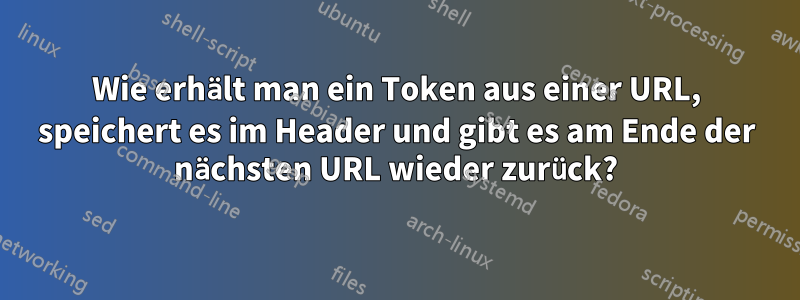 Wie erhält man ein Token aus einer URL, speichert es im Header und gibt es am Ende der nächsten URL wieder zurück?