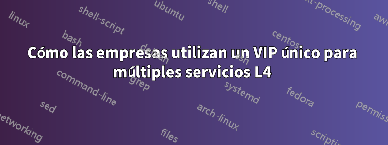 Cómo las empresas utilizan un VIP único para múltiples servicios L4