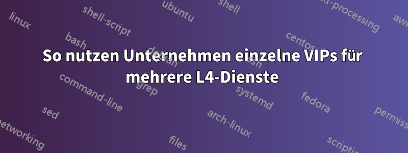 So nutzen Unternehmen einzelne VIPs für mehrere L4-Dienste