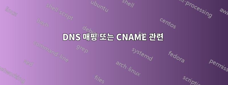 DNS 매핑 또는 CNAME 관련