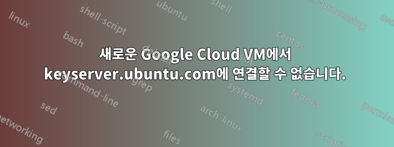 새로운 Google Cloud VM에서 keyserver.ubuntu.com에 연결할 수 없습니다.