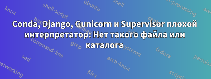 Conda, Django, Gunicorn и Supervisor плохой интерпретатор: Нет такого файла или каталога