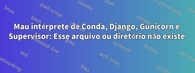 Mau intérprete de Conda, Django, Gunicorn e Supervisor: Esse arquivo ou diretório não existe