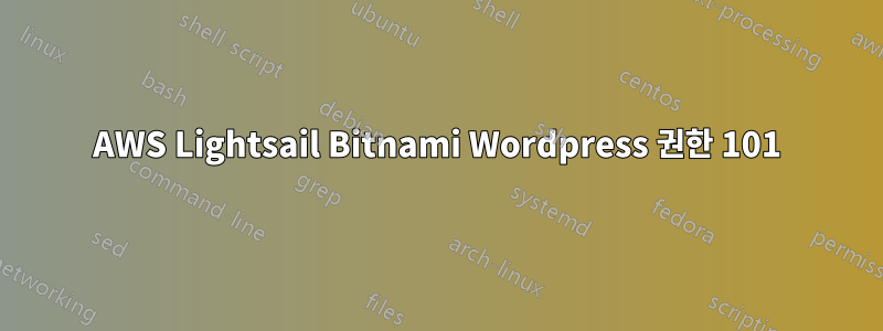 AWS Lightsail Bitnami Wordpress 권한 101