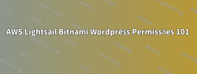 AWS Lightsail Bitnami Wordpress Permissões 101