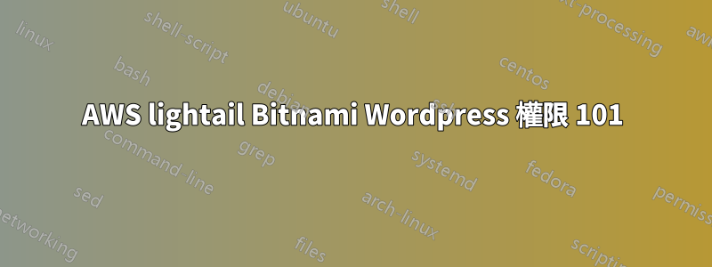 AWS lightail Bitnami Wordpress 權限 101