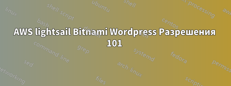 AWS lightsail Bitnami Wordpress Разрешения 101