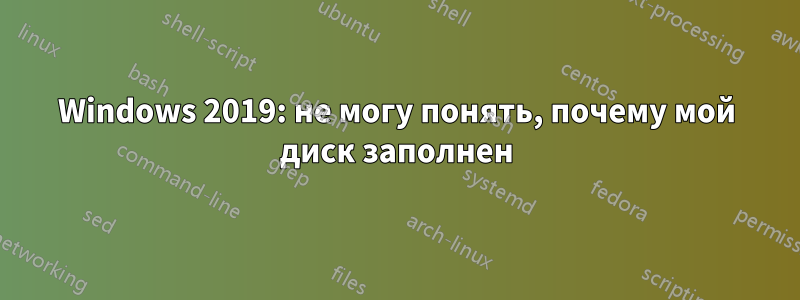 Windows 2019: не могу понять, почему мой диск заполнен