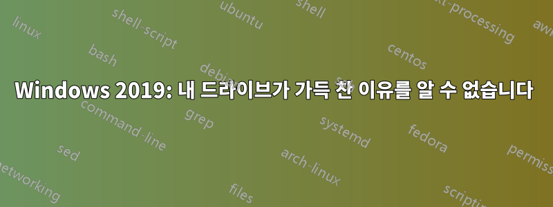 Windows 2019: 내 드라이브가 가득 찬 이유를 알 수 없습니다