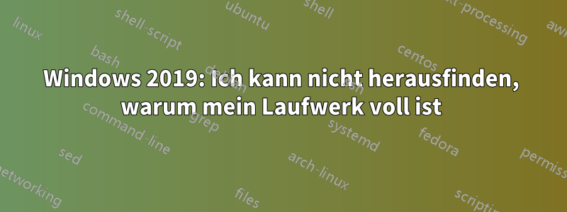 Windows 2019: Ich kann nicht herausfinden, warum mein Laufwerk voll ist